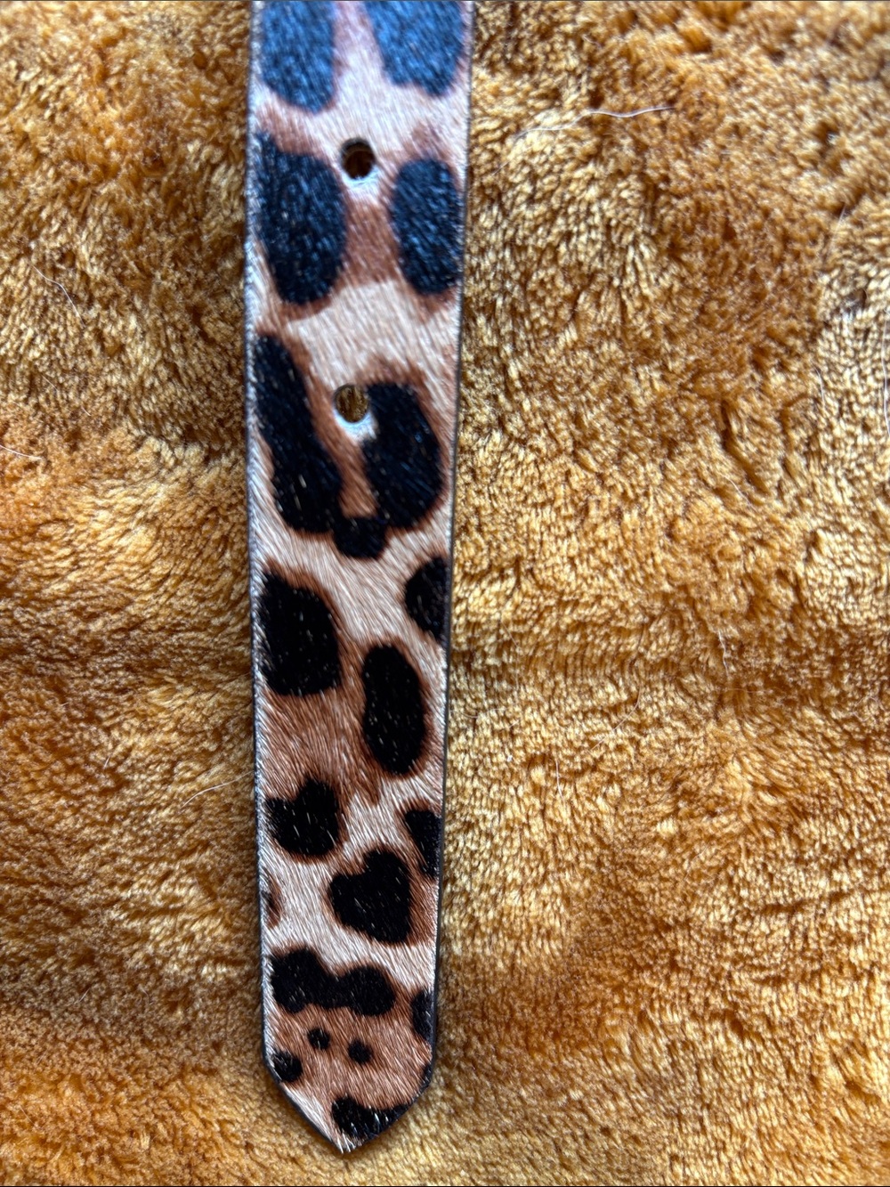 J. Crew Factory Leopard Print Leather Belt with Gold Buckle - Picture 10 of 10